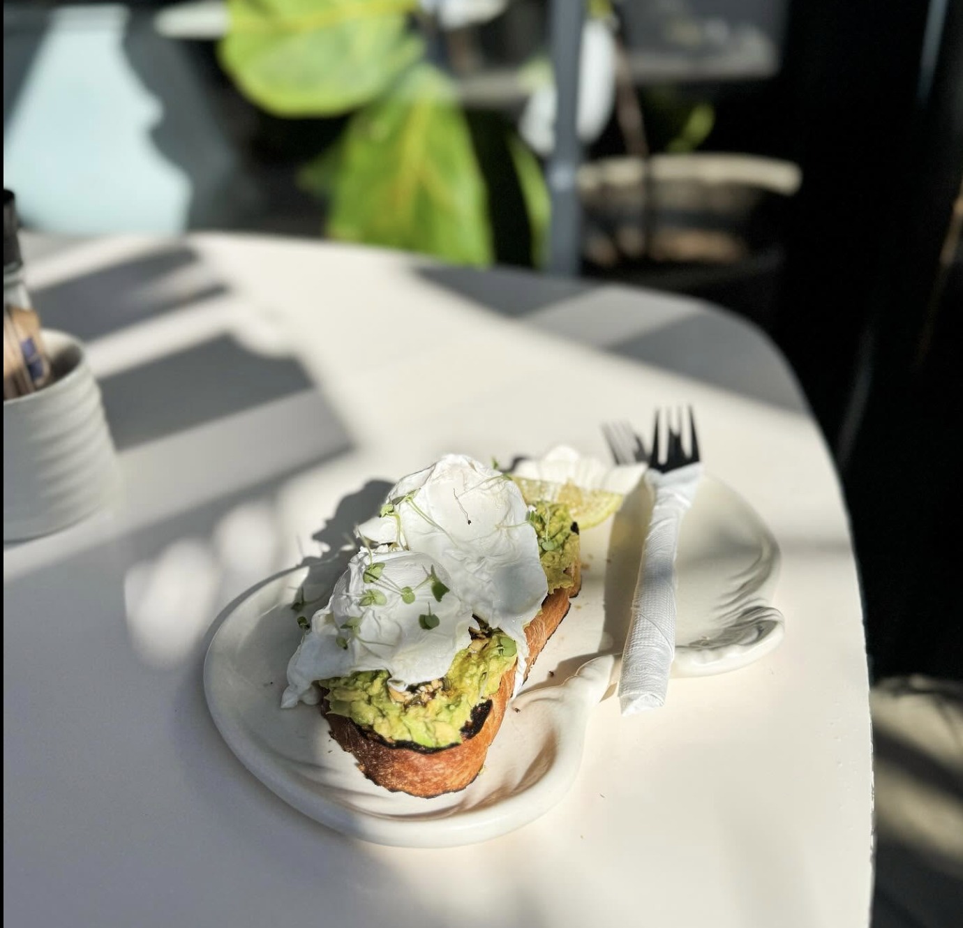 Avo toast with poached eggs